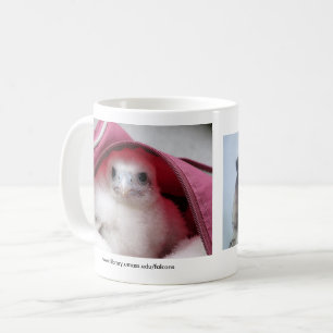 Falkmugg Kaffemugg