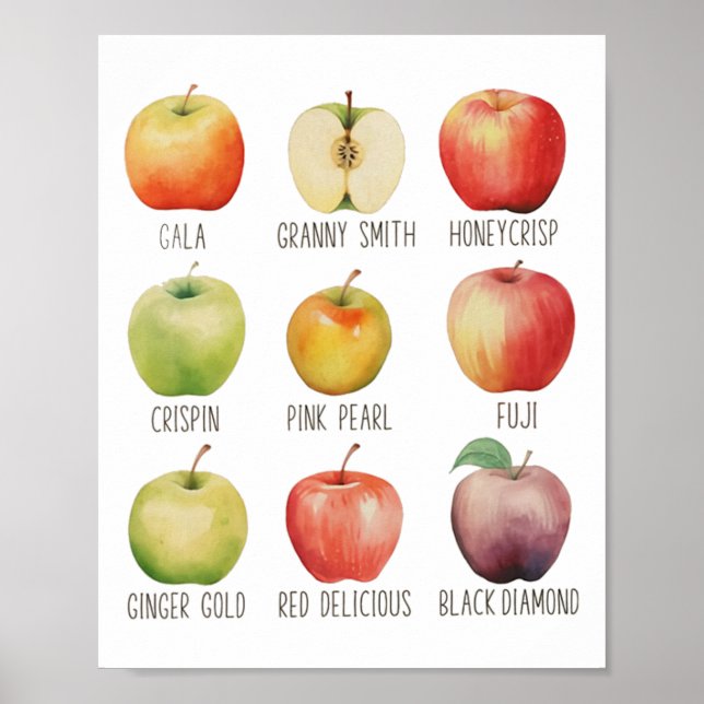 Fall Apple Picking Apple Orchard Boho Farm Fesh to Poster (Framsidan)