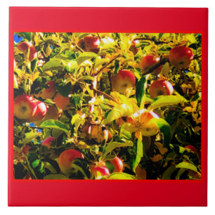 Fall Apples-panel Kakelplatta
