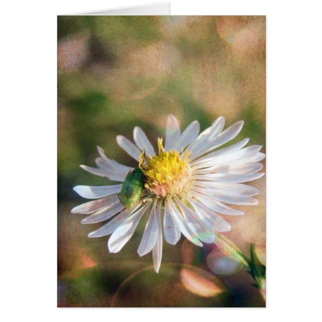 Fall är här hälsningskort (Framsidan)