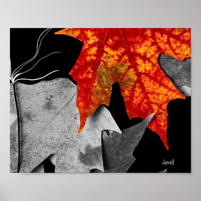 Fall Art (standard bild ram storlek) Poster (Framsidan)