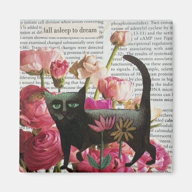 Fall Asov till Dream Black Cat Shock rosa Flowers Magnet (Framsidan)