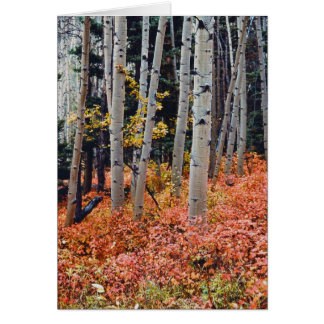 Fall Aspen Hälsningskort