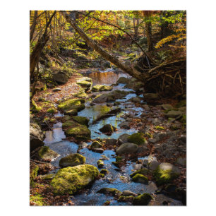 Fall av Bäck i Catfärys berg Fototryck