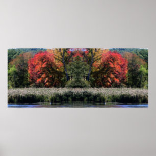 Fall av lök i Abstrakten Marsh Orton Spegel Poster