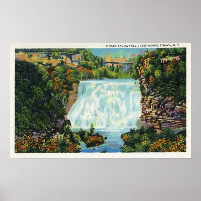 Fall Bäck Gorge View, Ithaca Falls Scene Poster (Framsidan)