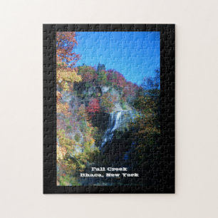 FALL BÄCK ITHACA NEW YORK PUSSEL
