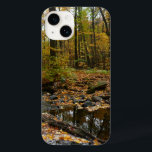 Fall Bäck med reflektion vid Laurel Backe Park<br><div class="desc">Bäck från vattenfallet i statsparken i Laurel Backe var fortfarande tillräckligt på platser för att få en reflektion över träd som omger det. Här är ett skott med vacker höstfärg. Kolla in vår affär för vackra fall i bilder från Pennsylvania. Det här bild är också en widescreen-tapet på www.mlewallpapers.com.</div>