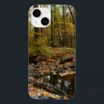 Fall Bäck med reflektion vid Laurel Backe Park<br><div class="desc">Bäck från vattenfallet i statsparken i Laurel Backe var fortfarande tillräckligt på platser för att få en reflektion över träd som omger det. Här är ett skott med vacker höstfärg. Kolla in vår affär för vackra fall i bilder från Pennsylvania. Det här bild är också en widescreen-tapet på www.mlewallpapers.com.</div>