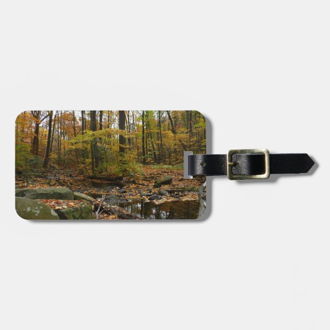 Fall Bäck med reflektion vid Laurel Backe Park Bagagebricka (Horisontell Framsida)