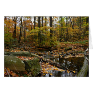 Fall Bäck med reflektion vid Laurel Backe Park Hälsningskort