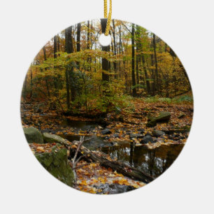Fall Bäck med reflektion vid Laurel Backe Park Julgransprydnad Keramik