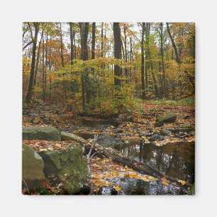 Fall Bäck med reflektion vid Laurel Backe Park Magnet