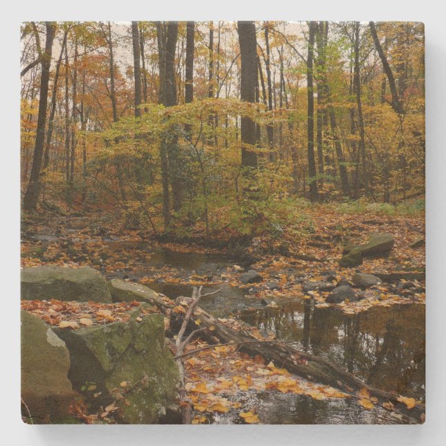 Fall Bäck med reflektion vid Laurel Backe Park Stenunderlägg (Framsidan)