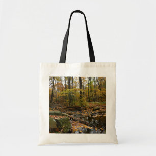 Fall Bäck med reflektion vid Laurel Backe Park Tygkasse