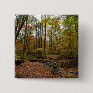 Fall Bäck vid Laurel Backe State Park Knapp