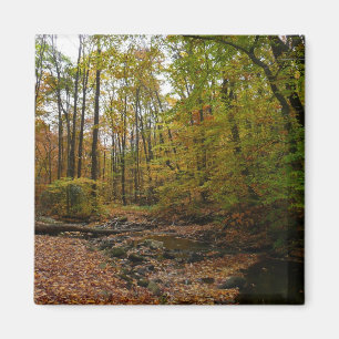 Fall Bäck vid Laurel Backe State Park Magnet