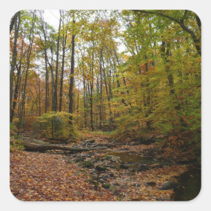 Fall Bäck vid Laurel Backe State Park Pennsylvania Fyrkantigt Klistermärke