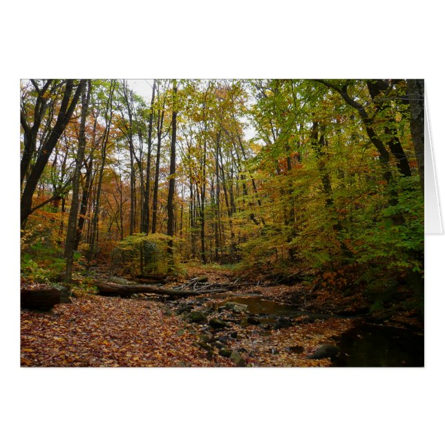 Fall Bäck vid Laurel Backe State Park Pennsylvania Hälsningskort (Framsidan Horizontal)