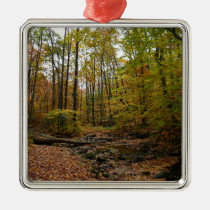 Fall Bäck vid Laurel Backe State Park Pennsylvania Julgransprydnad Metall