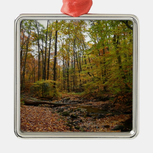 Fall Bäck vid Laurel Backe State Park Pennsylvania Julgransprydnad Metall (Framsidan)