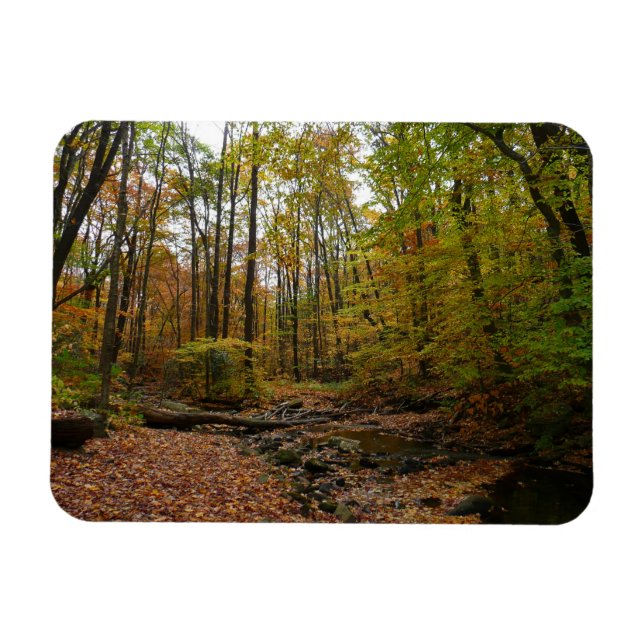 Fall Bäck vid Laurel Backe State Park Pennsylvania Magnet (Horisontell)