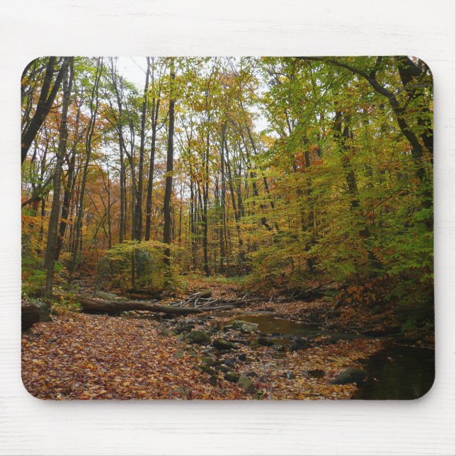 Fall Bäck vid Laurel Backe State Park Pennsylvania Musmatta (Framsidan)