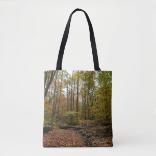Fall Bäck vid Laurel Backe State Park Pennsylvania Tygkasse