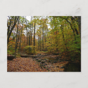 Fall Bäck vid Laurel Backe State Park Pennsylvania Vykort