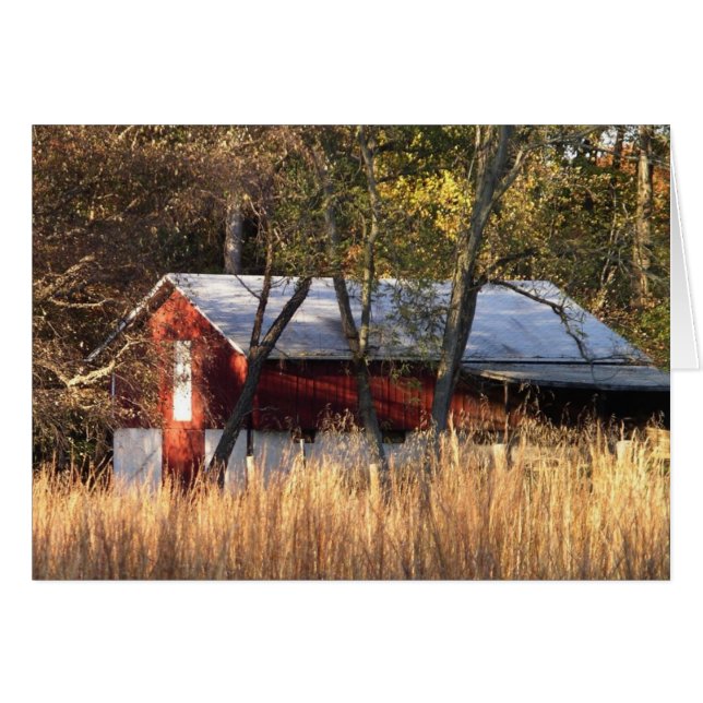Fall Barn i Central Maryland Hälsningskort (Framsidan Horizontal)