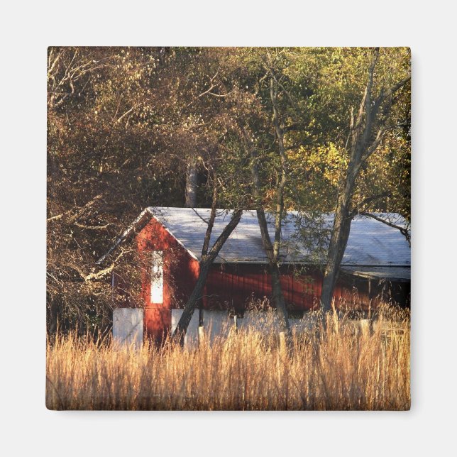 Fall Barn i Central Maryland Magnet (Framsidan)