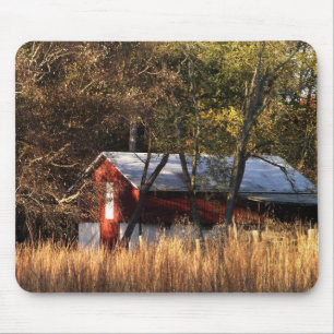 Fall Barn i Central Maryland Musmatta