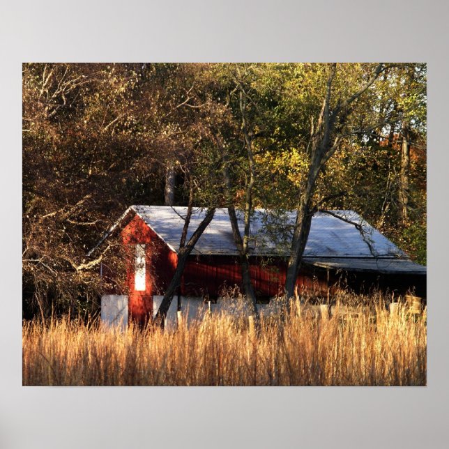 Fall Barn i Central Maryland Poster (Framsidan)