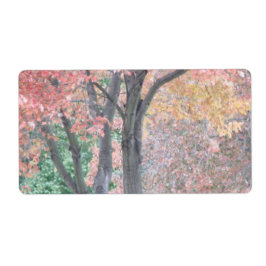 Fall Beauty Fraktsedel