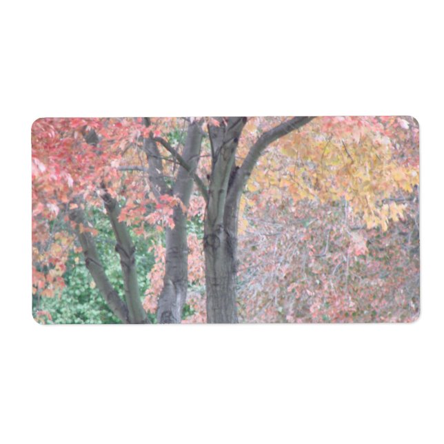 Fall Beauty Fraktsedel (Framsidan)