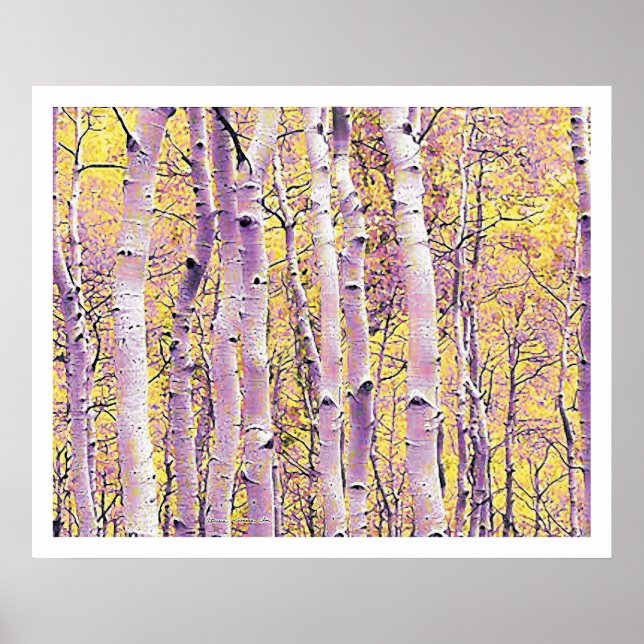 Fall Birch Poster (Framsidan)