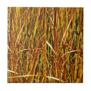 Fall Cattails Kakelplatta