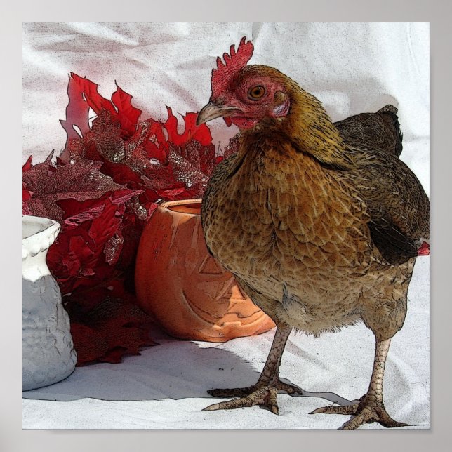 Fall Chicken Poster (Framsidan)