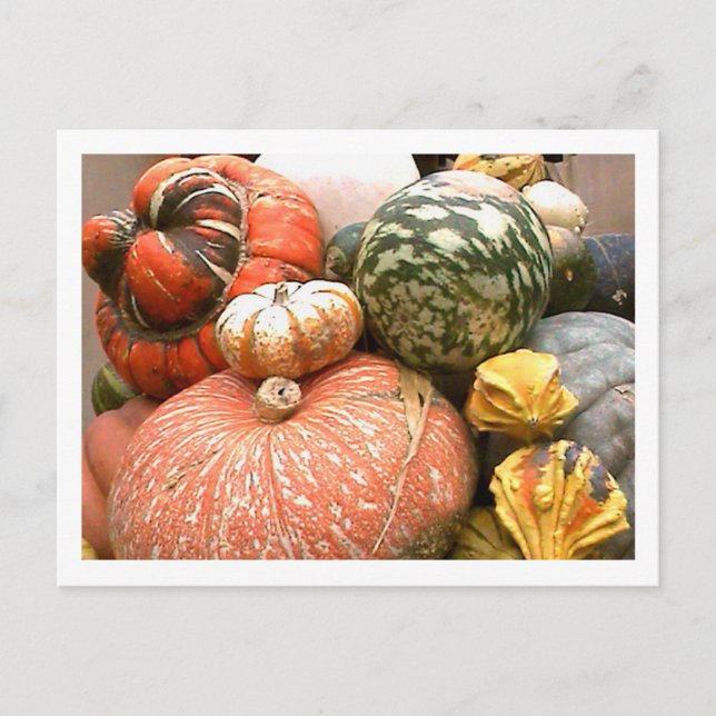 Fall Cornicopia Vykort (Framsida)