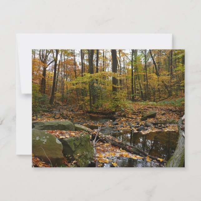 Fall Creek med reflektion vid Laurel Hill Park (Framsida)