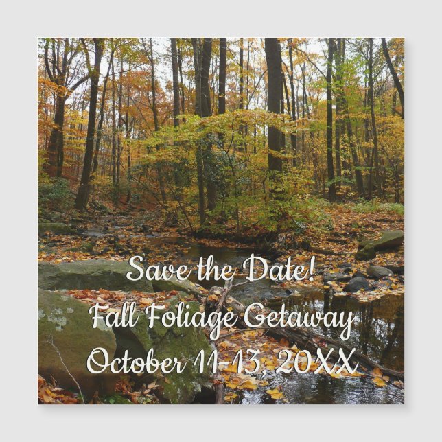 Fall Creek med reflektion vid Laurel Hill Park (Framsida)