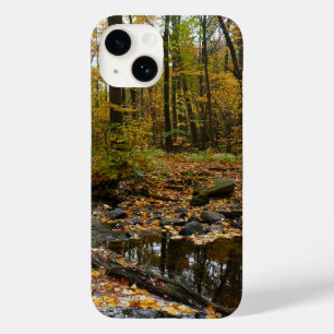 Fall Creek med reflektion vid Laurel Hill Park