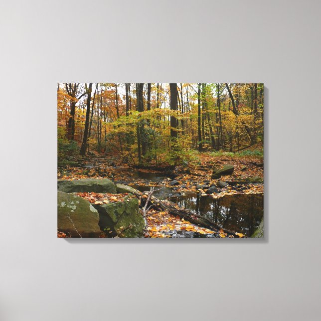 Fall Creek med reflektion vid Laurel Hill Park Canvastryck (Framsida)