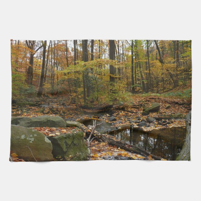 Fall Creek med reflektion vid Laurel Hill Park Kökshandduk (Horisontell)