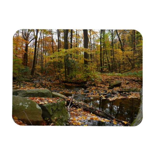Fall Creek med reflektion vid Laurel Hill Park Magnet (Horisontell)