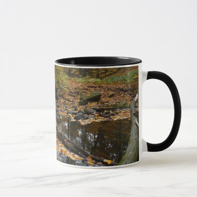 Fall Creek med reflektion vid Laurel Hill Park Mugg (Höger)