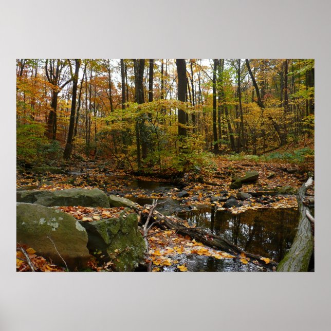 Fall Creek med reflektion vid Laurel Hill Park Poster (Framsidan)