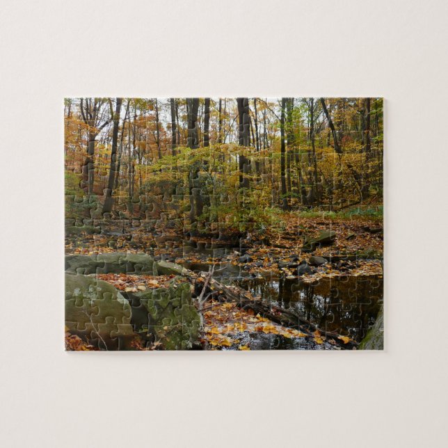 Fall Creek med reflektion vid Laurel Hill Park Pussel (Horisontell)