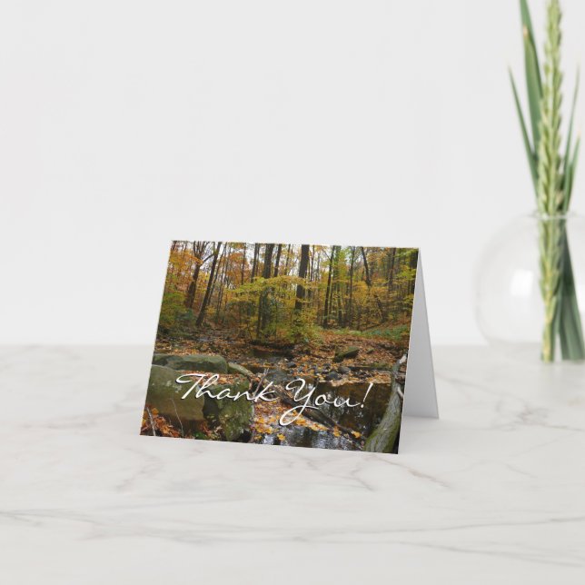 Fall Creek med reflektion vid Laurel Hill Park Tack Kort (Framsida)