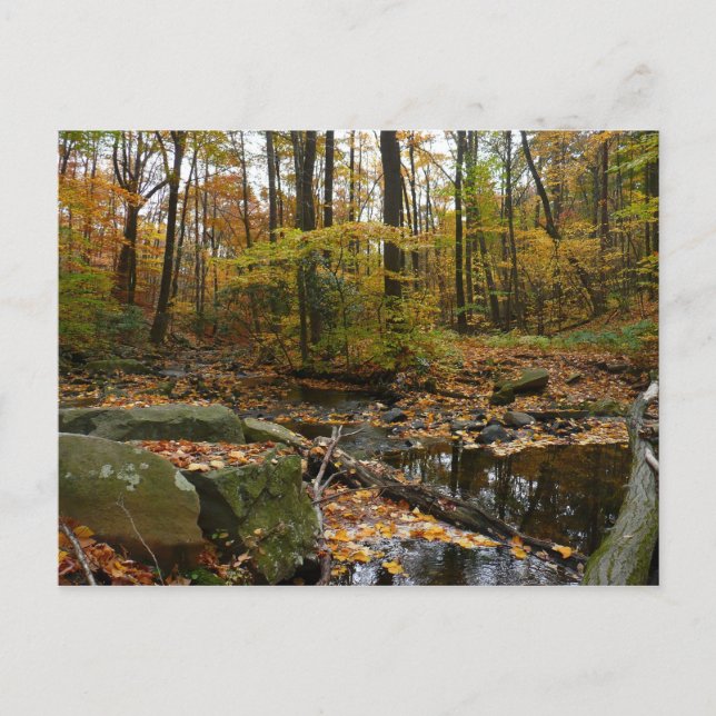 Fall Creek med reflektion vid Laurel Hill Park Vykort (Framsida)